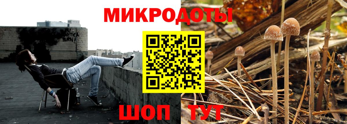 Майский  Галлюциногенные грибы MAGIC MUSHROOMS  Вход с VPN 