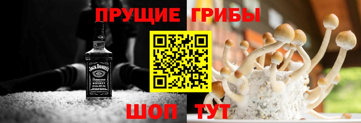 Галлюциногенные грибы Psilocybine cubensis Майский